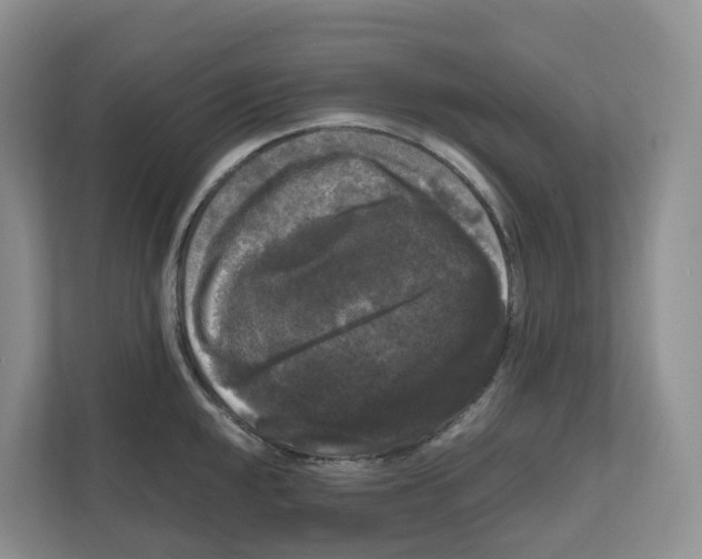 X0000111121048200908111015