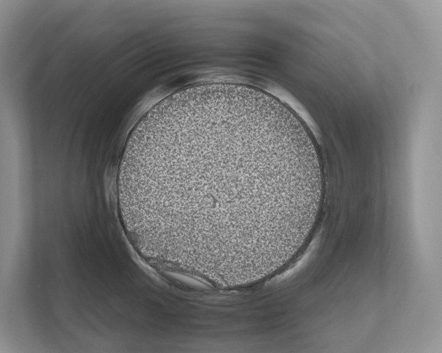 X0000111121049200908111015