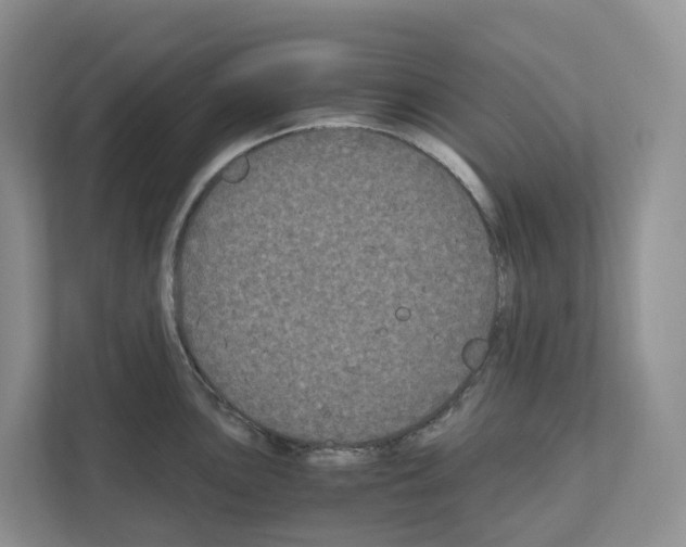 X0000111121051200908111015