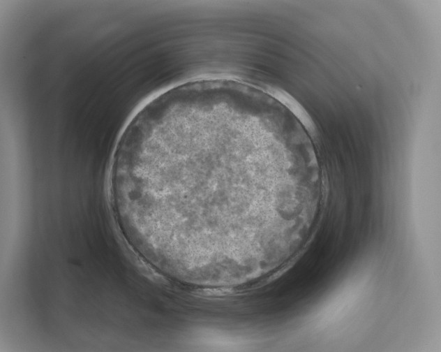 X0000111121052200908111015