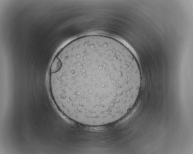 X0000111121053200908111015