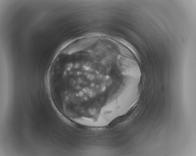 X0000111121055200908111015