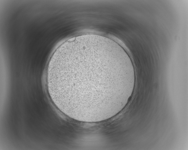 X0000111121056200908111015