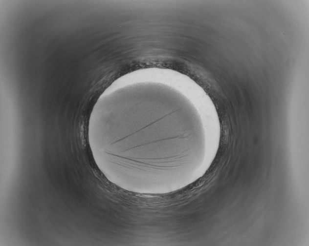 X0000111121060200908111014