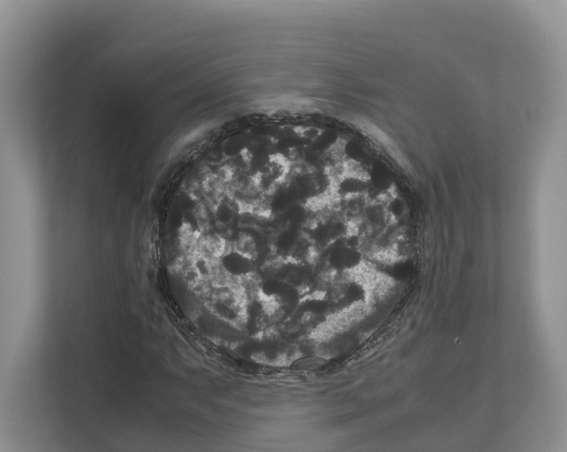 X0000111121063200908111014