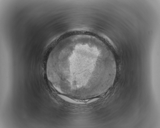 X0000111121064200908111014