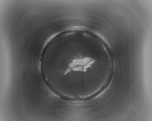X0000111121066200908111014