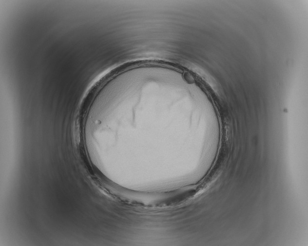X0000111121069200908111014