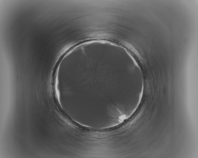 X0000111121071200908111014
