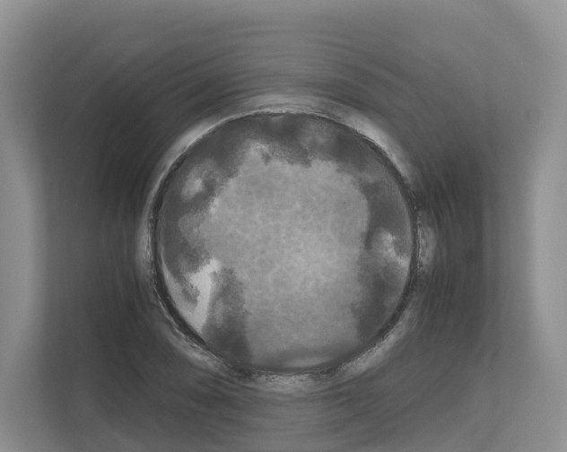 X0000111121074200908111014