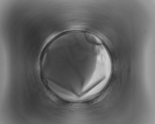 X0000111121077200908111014