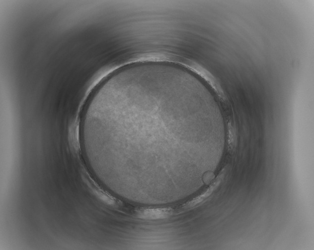 X0000111121078200908111014