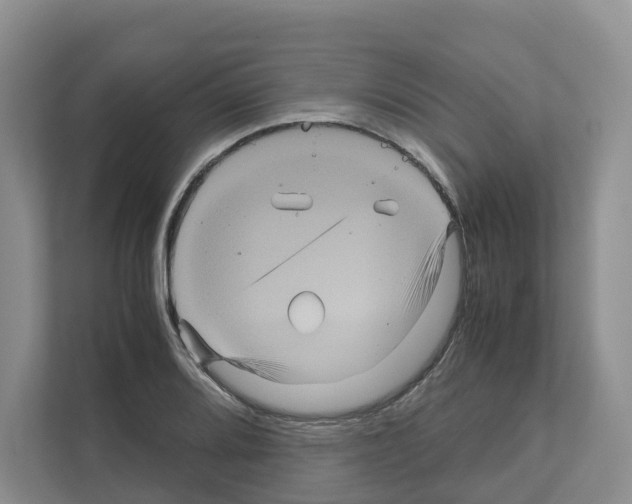 X0000111121080200908111014