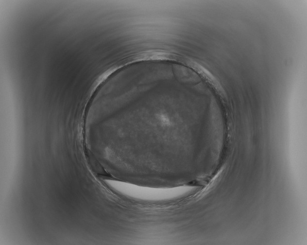 X0000111121081200908111014