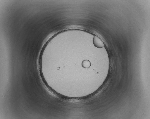 X0000111121082200908111014