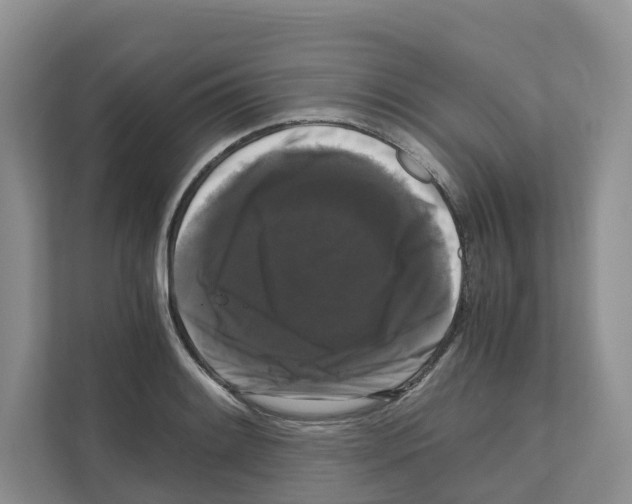 X0000111121084200908111014