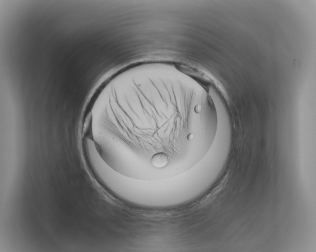 X0000111121085200908111014