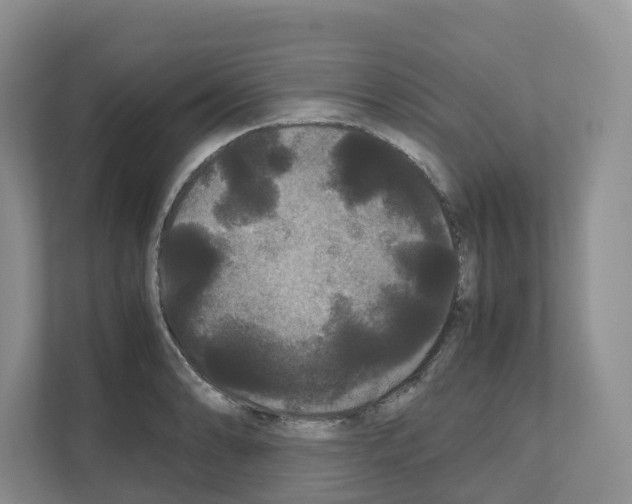 X0000111121086200908111014