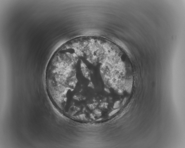 X0000111121087200908111014
