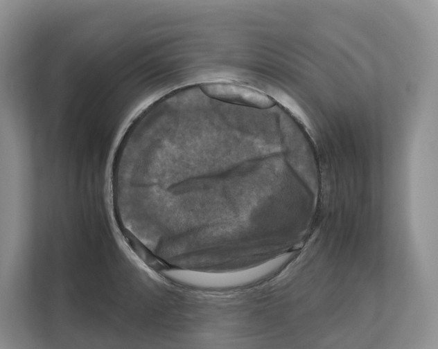 X0000111121088200908111014