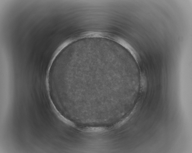 X0000111121090200908111014