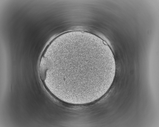 X0000111121091200908111014