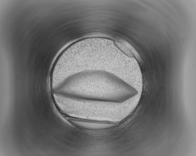 X0000111121092200908111014