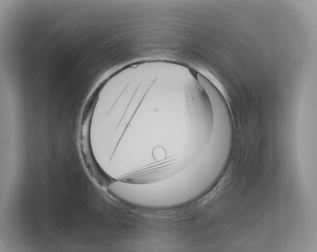 X0000111121093200908111014