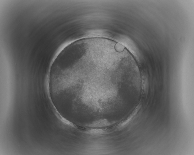 X0000111121094200908111014