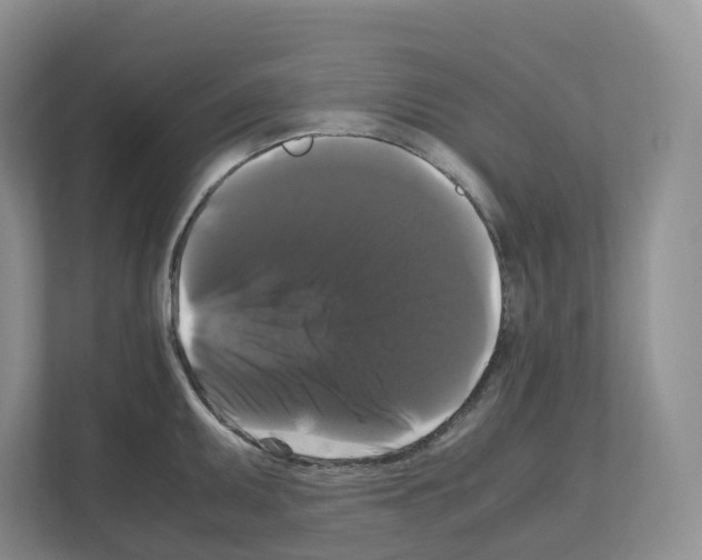 X0000111121095200908111014