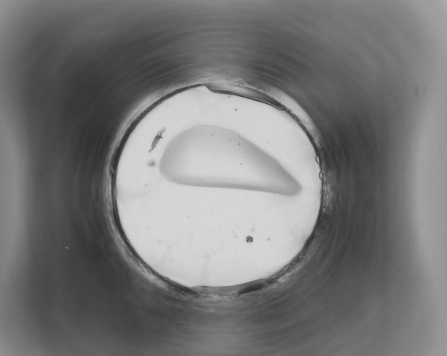 X0000111121096200908111014