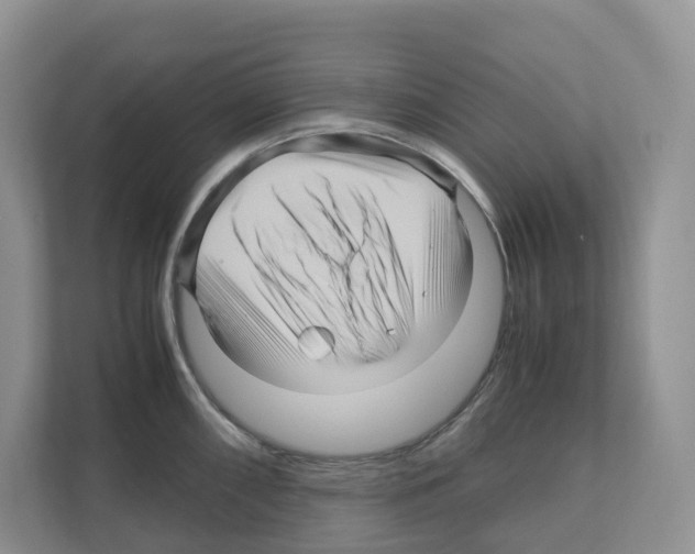 X0000111121098200908111014