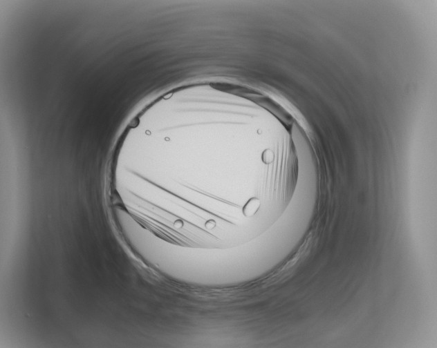 X0000111121101200908111014