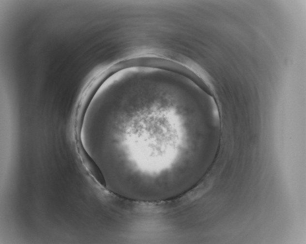 X0000111121104200908111014
