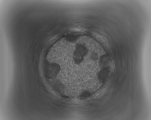 X0000111121105200908111013