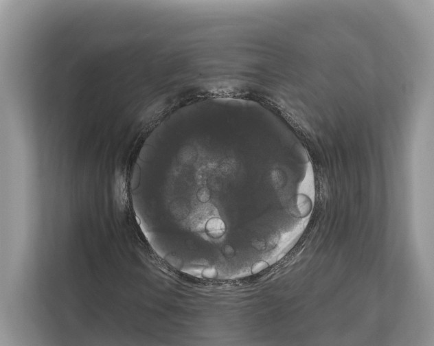 X0000111121106200908111013