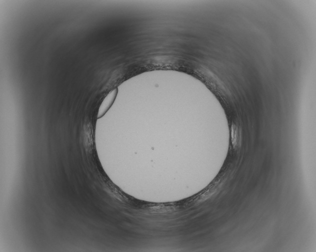 X0000111121107200908111013