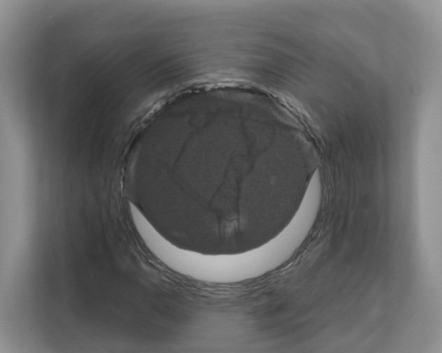 X0000111121110200908111013