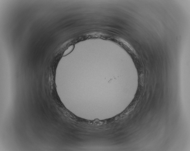 X0000111121111200908111013