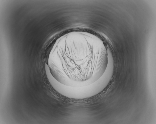 X0000111121112200908111013