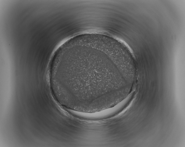X0000111121114200908111013