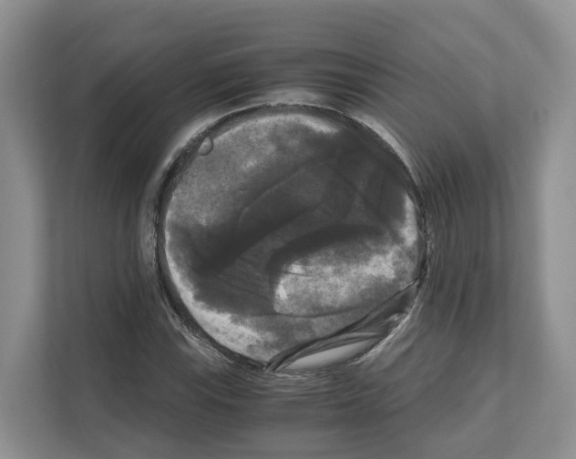X0000111121115200908111013