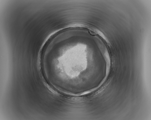 X0000111121116200908111013