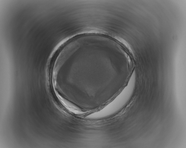 X0000111121120200908111013