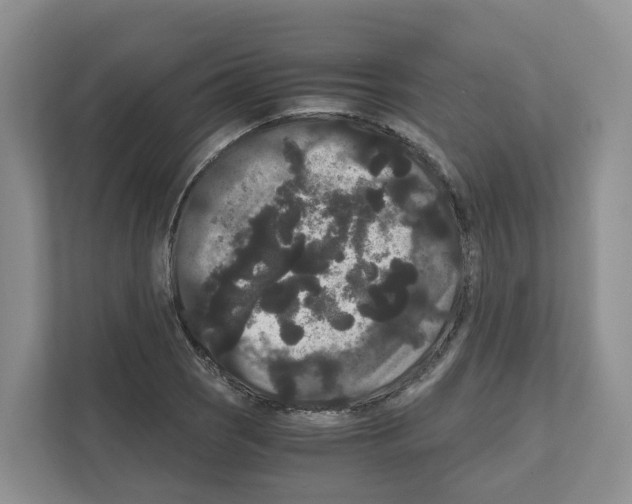 X0000111121121200908111013