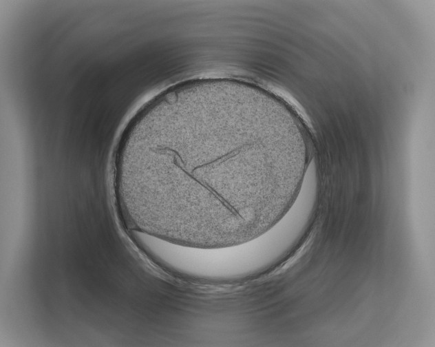 X0000111121122200908111013