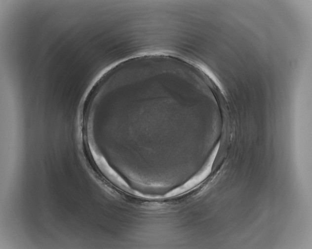 X0000111121124200908111013