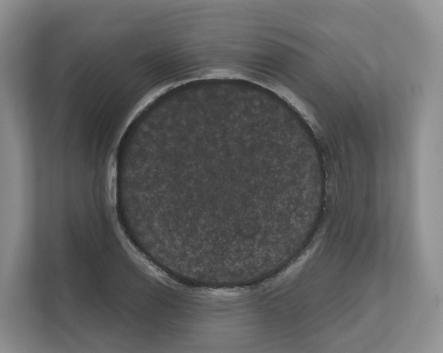 X0000111121126200908111013