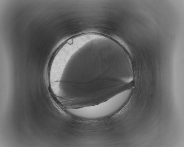 X0000111121127200908111013