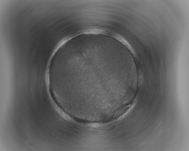 X0000111121130200908111013